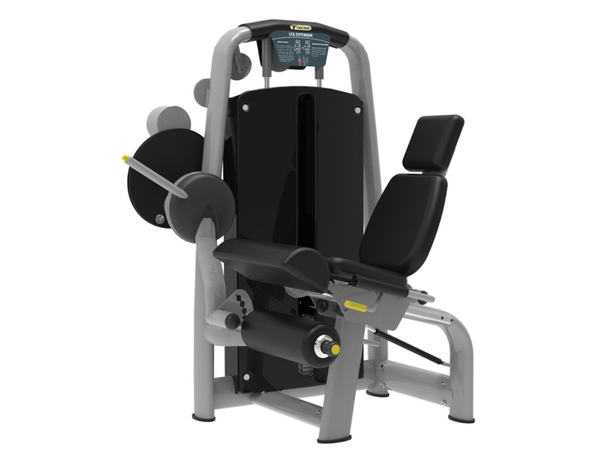 Seated Leg Extension