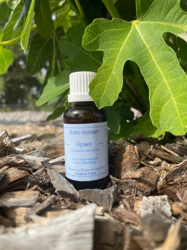 HYDRO-BIOTIQUE FIGUIER BOURGEONS