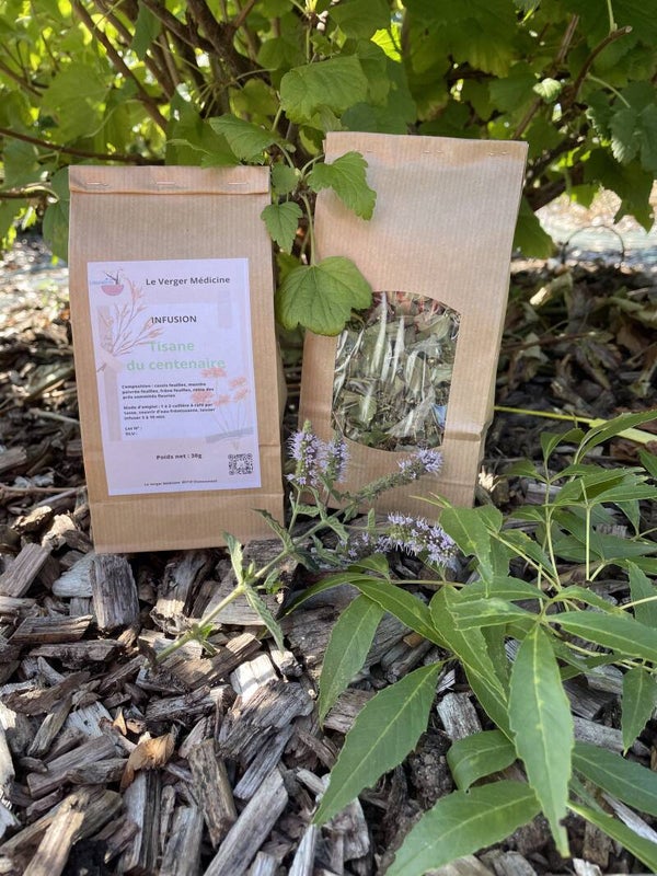 TISANE DU CENTENAIRE