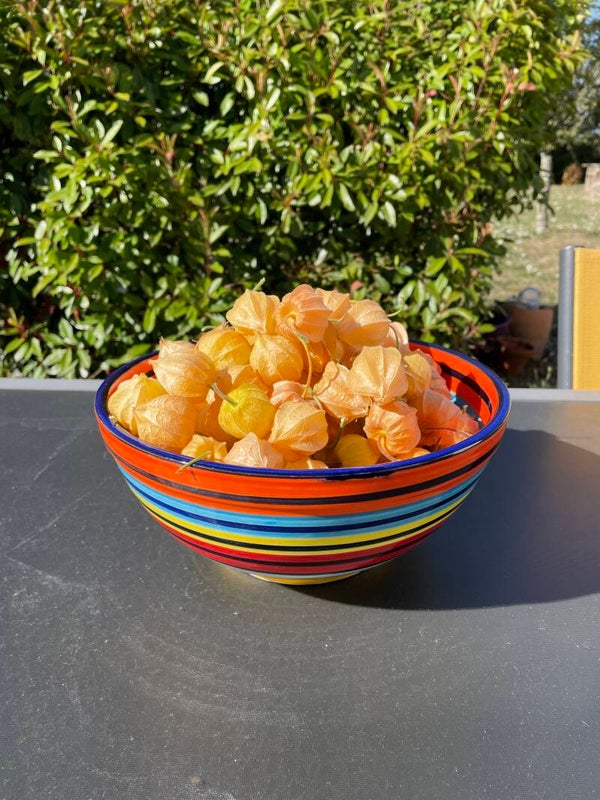 PHYSALIS