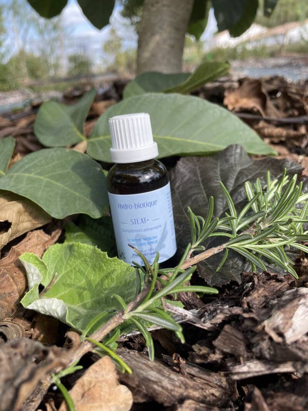 HYDRO-BIOTIQUE STEAT+
