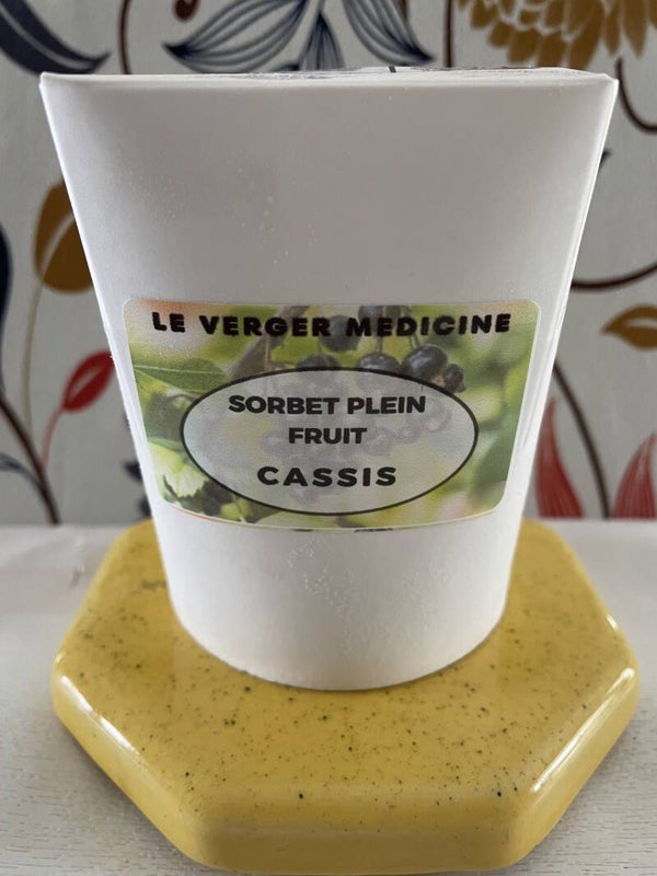 SORBET PLEIN FRUIT CASSIS