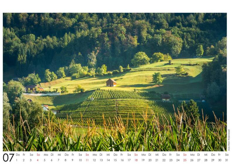 Juli 2027 – Wiesen und Reben am Hang