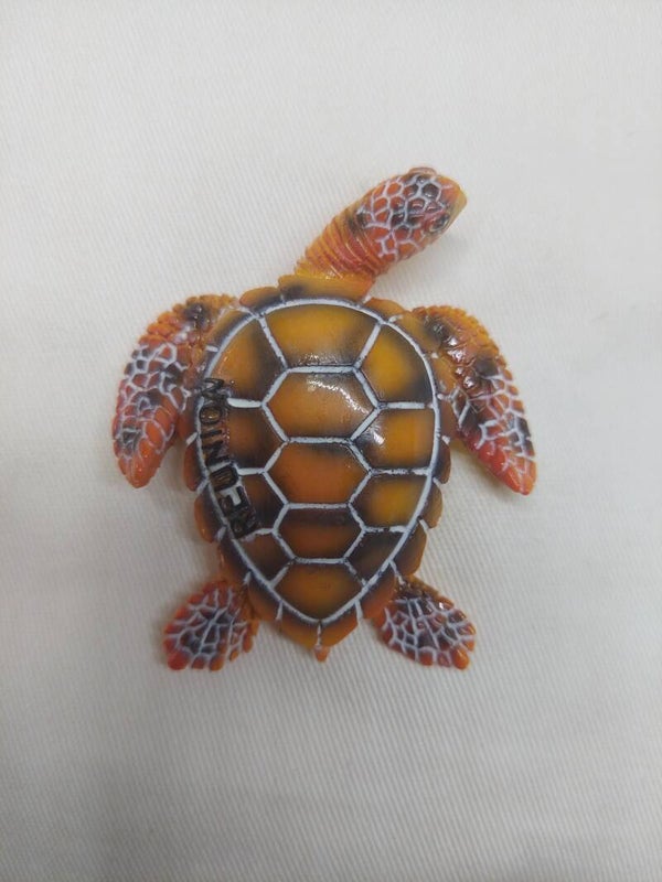 Magnet tortue