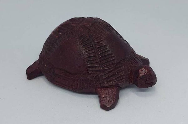 Tortue bois