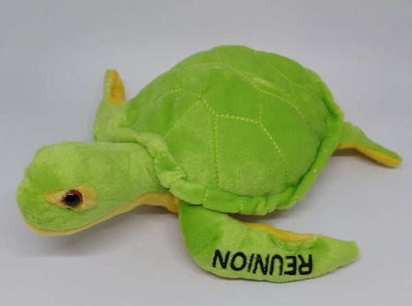 Peluche Tortue