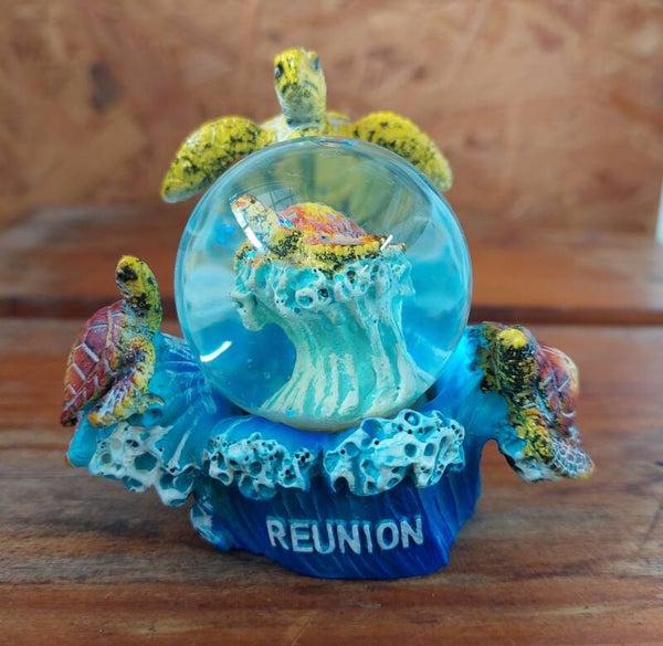 Tortue Boule/Vague