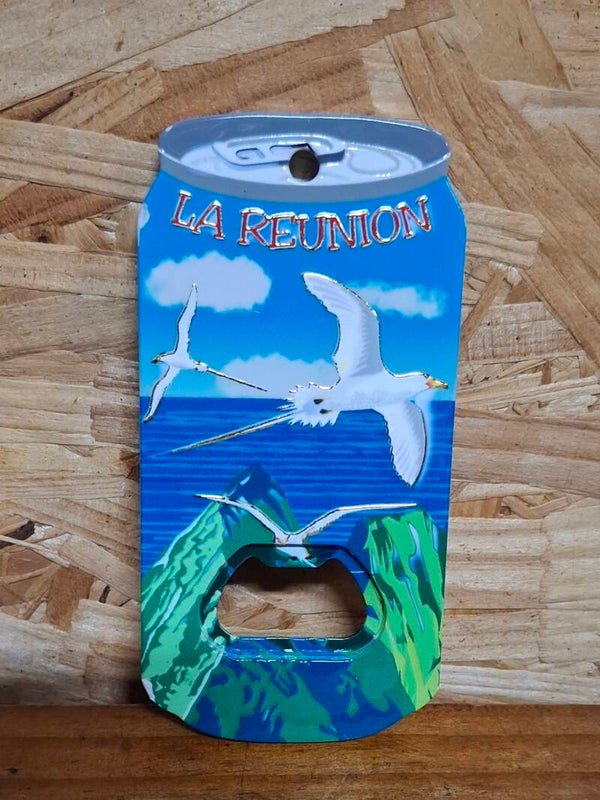 Magnet décapsuleur canette