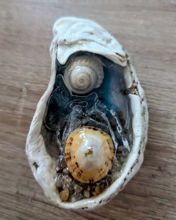 Coquille d'huître