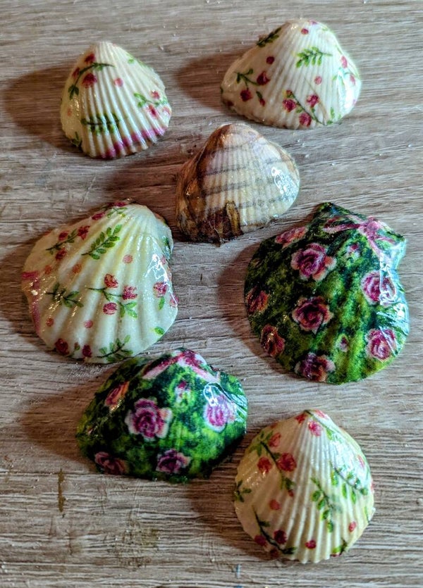 Coquillages décorés "Petites fleurs"