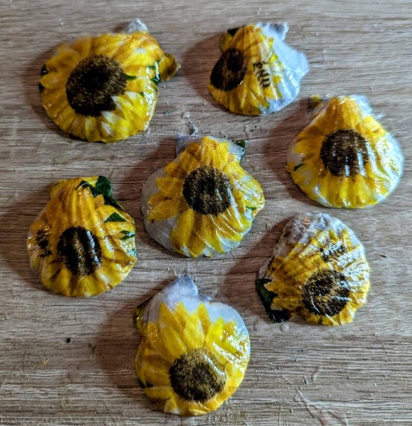 Coquillages décorés "Tournesol"