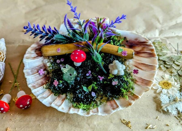 Saint Jacques coquillage : Diorama Forêt
