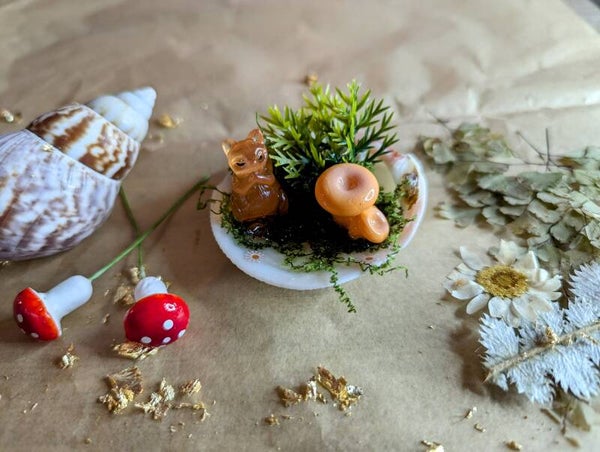 Coquillage : Diorama Forêt