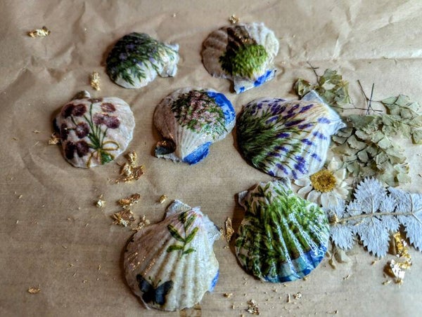 Coquillages décorés "Plantes"