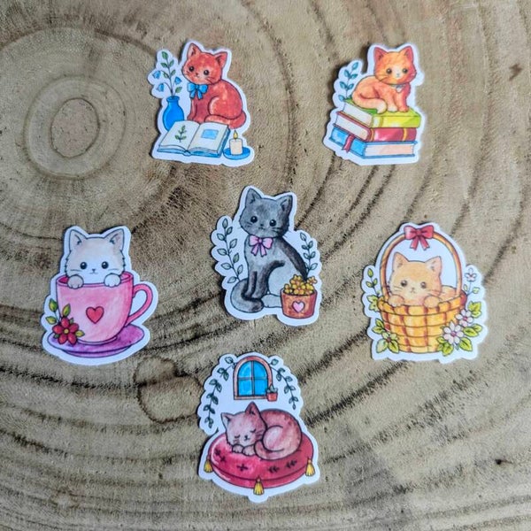 Stickers Chats Cosy 🐱🌿