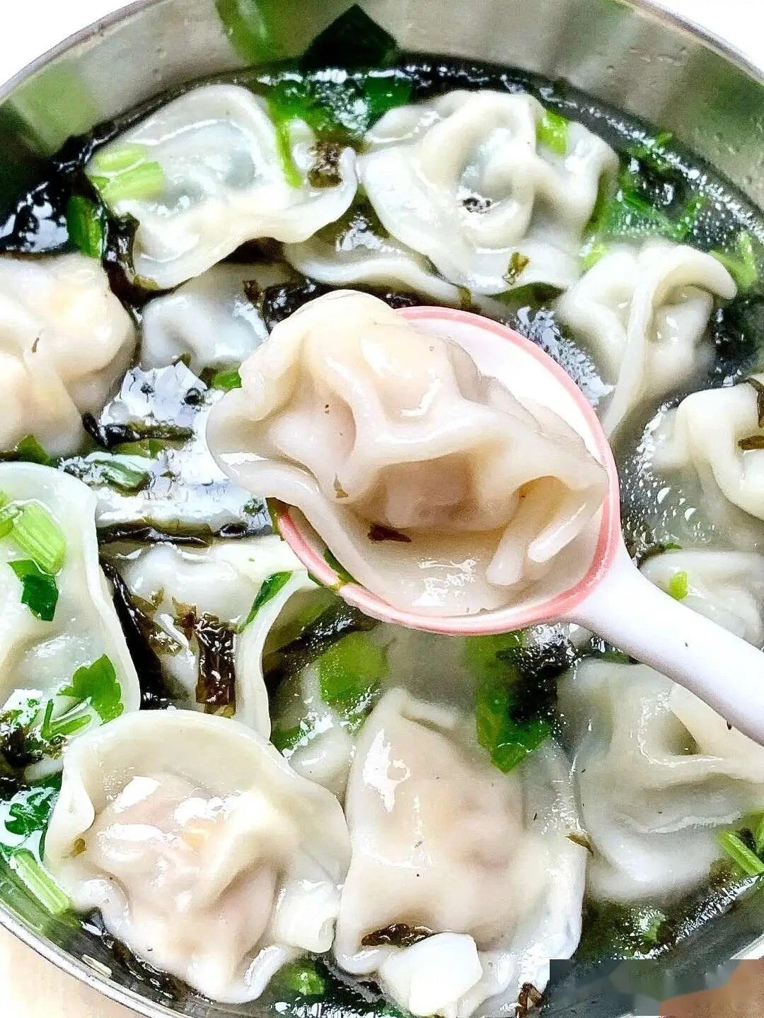 Gyoza soup noodle