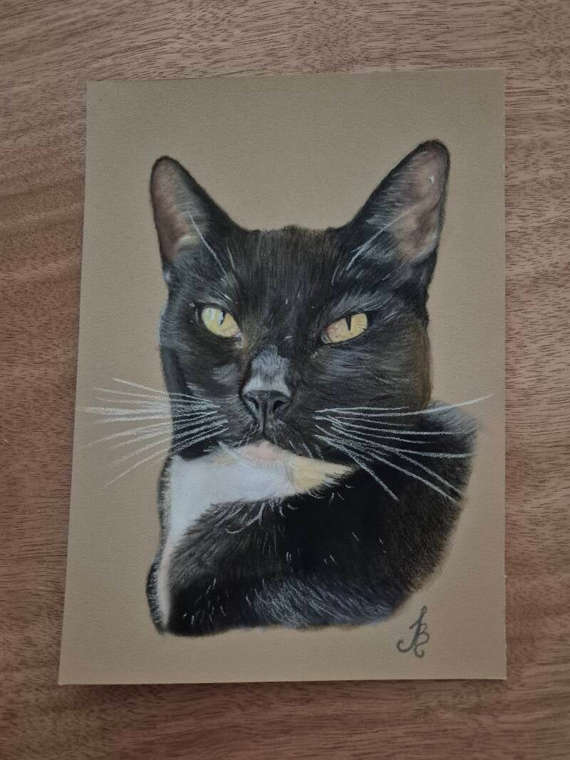 Pastel in opdracht 