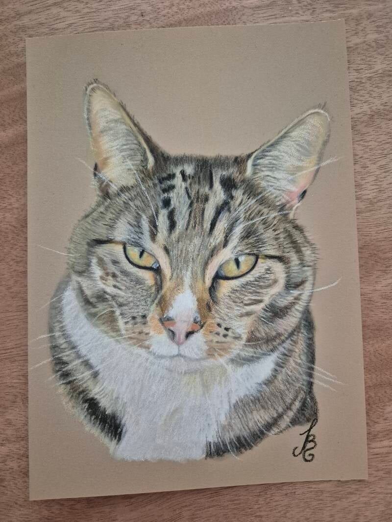 Pastel in opdracht 