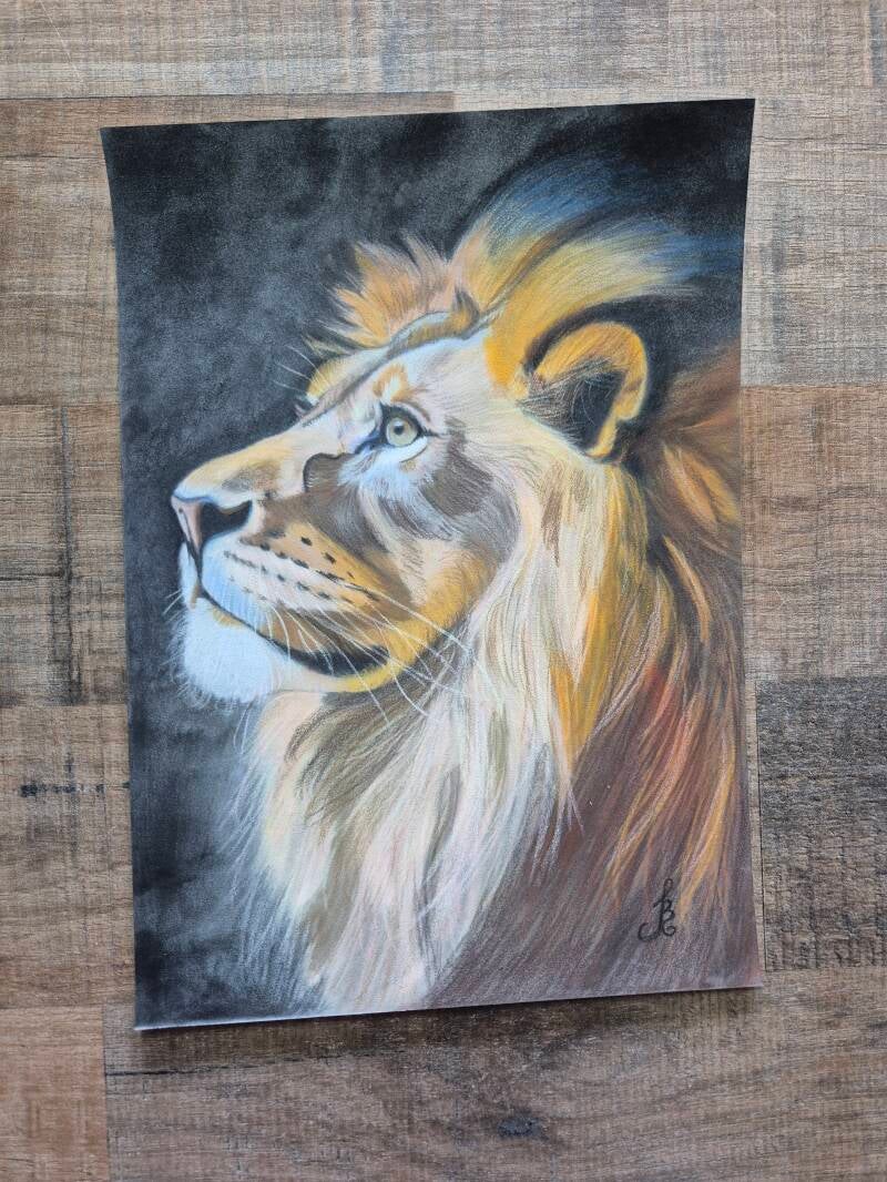 "Leeuw" Pastel A4 formaat €175