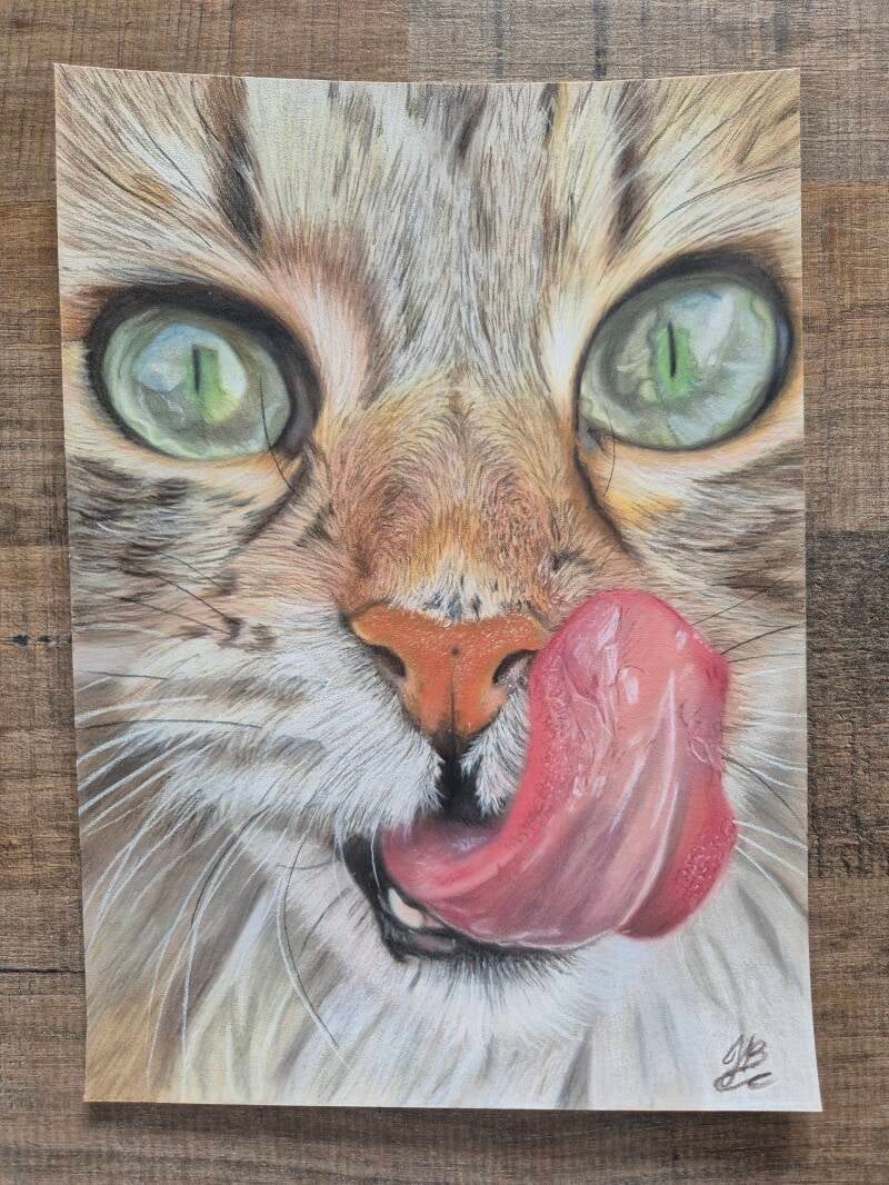 "Close up kat" Pastel A4 formaat €175