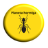 HormigaExotica.com