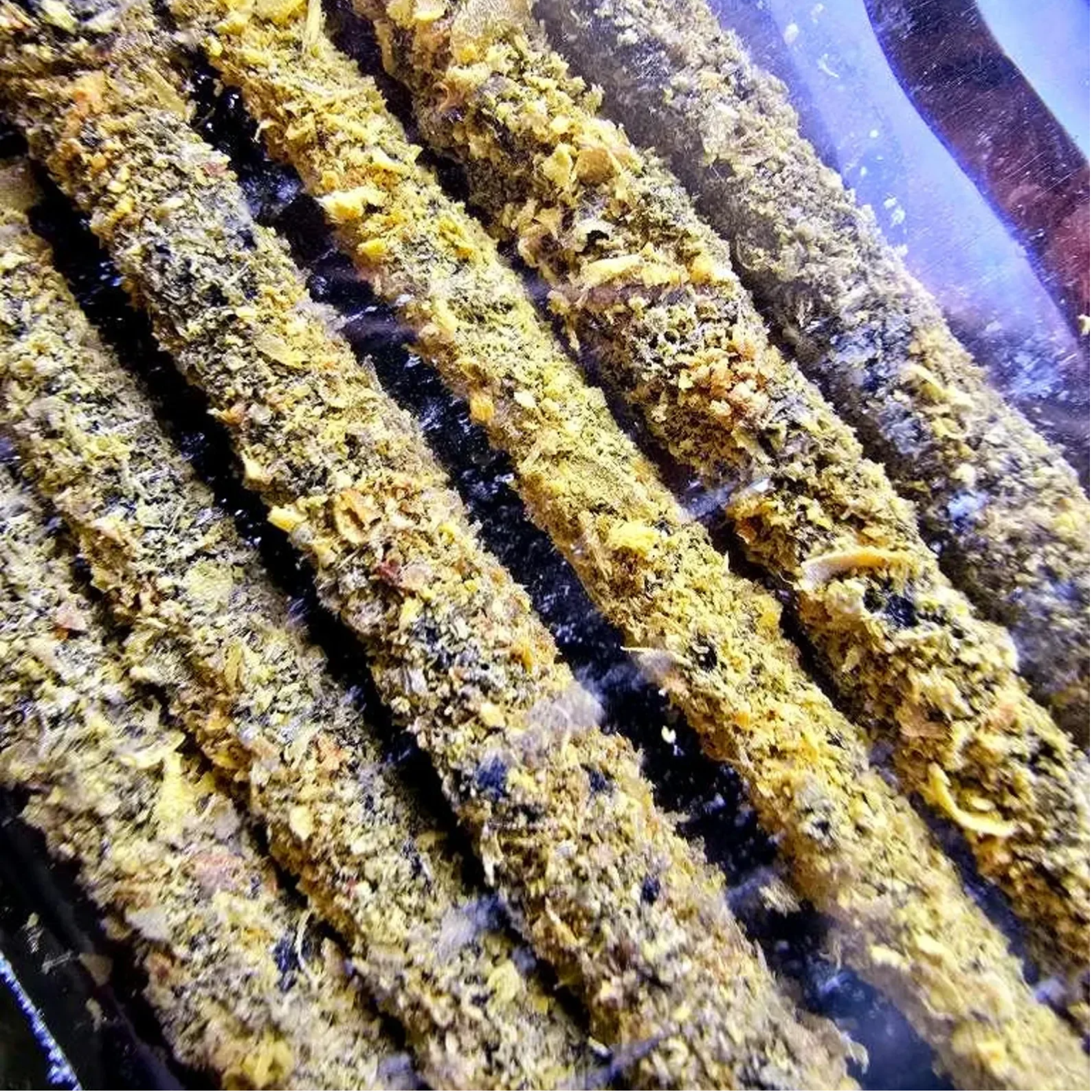 Hand Rolled Amber Resin Incense Sticks: Cleansing Aroma