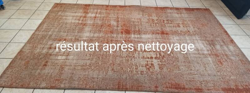 remise-en-etat-tapis-vendee-standard.jpg