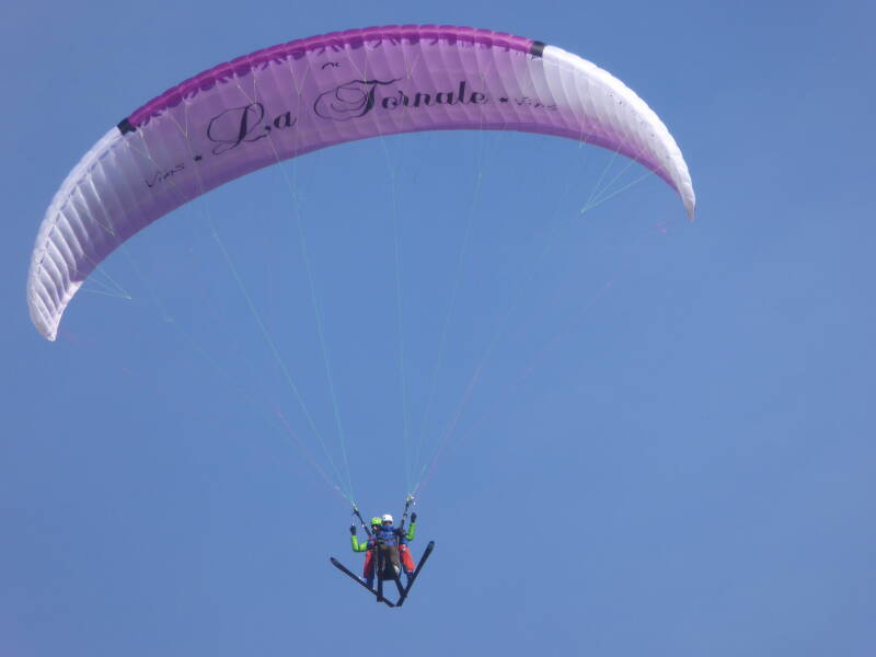 p1000242-standard-taq2d9.jpg