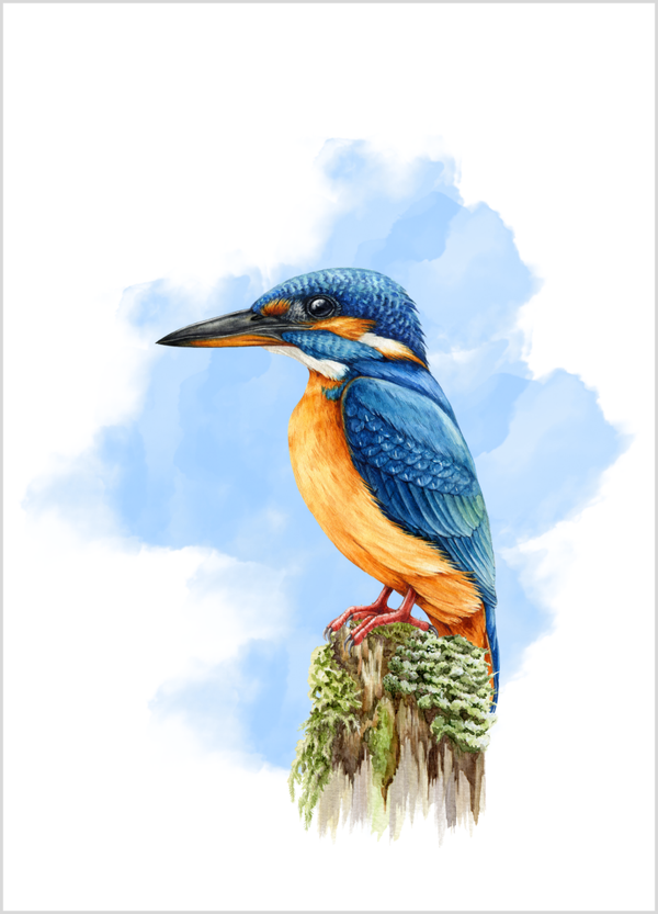 Wenskaart ijsvogel boomstronk