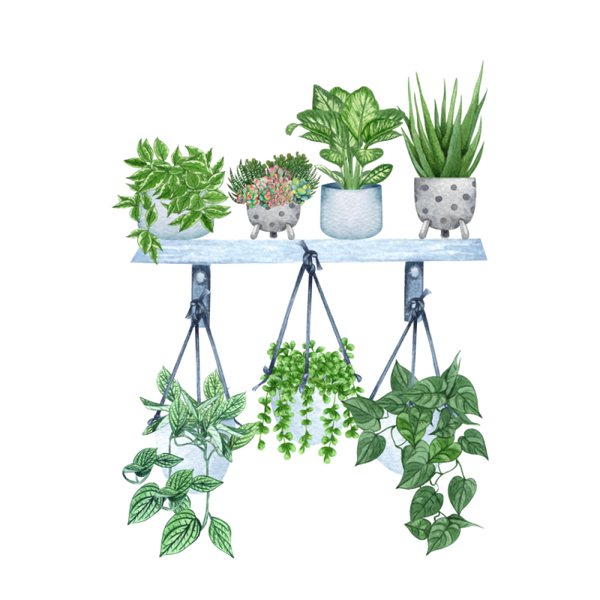 Dubbele wenskaart - Blanco kaart wandrekje planten