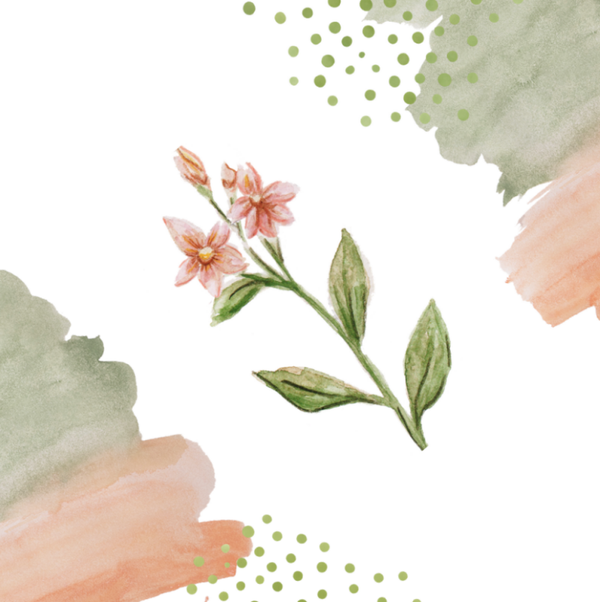 Dubbele wenskaart - Blanco kaart roze bloemen