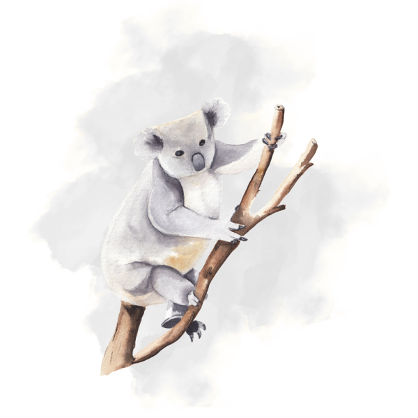 Dubbele wenskaart - Blanco kaart koala
