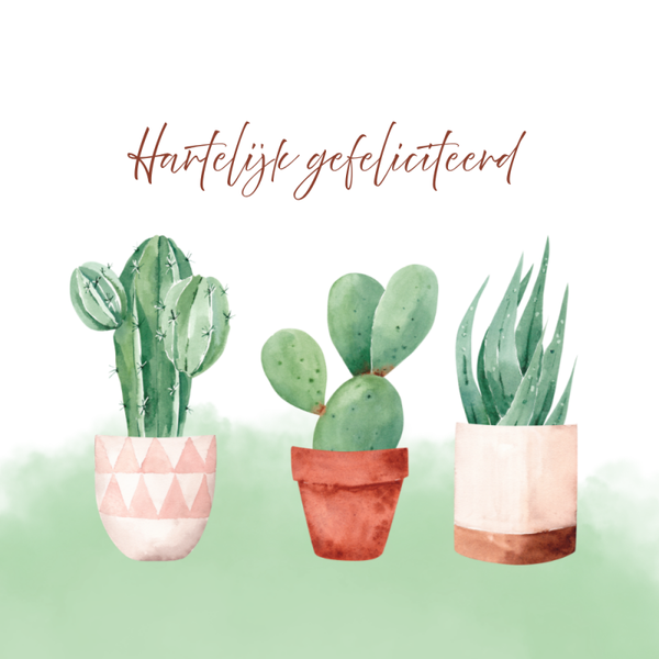 Dubbele wenskaart - Kaart gefeliciteerd cactussen