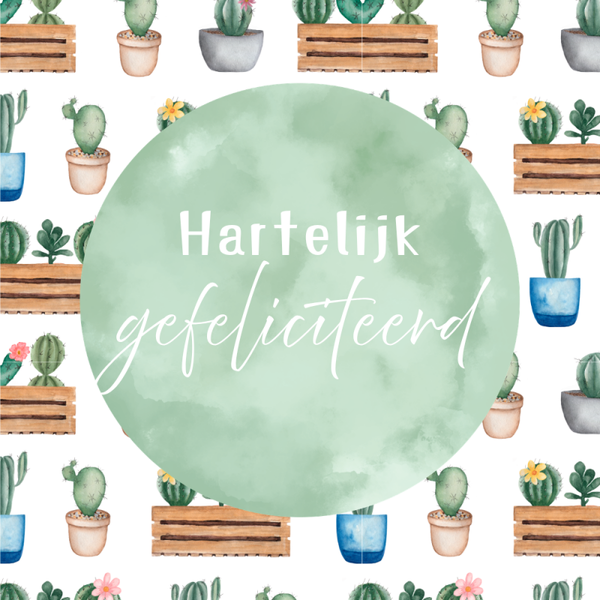 Dubbele wenskaart - Kaart gefeliciteerd cactussen