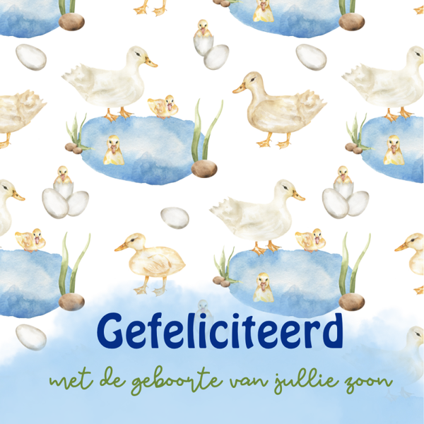 Dubbele wenskaart - Kaart geboorte zoon eenden
