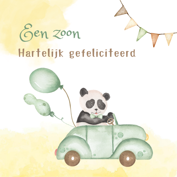 Dubbele wenskaart - Kaart geboorte zoon pandabeer