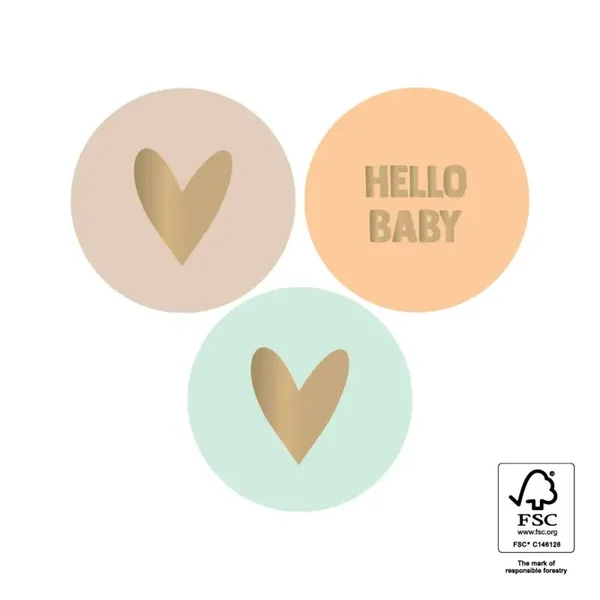 10 cadeaustickers - Hello baby