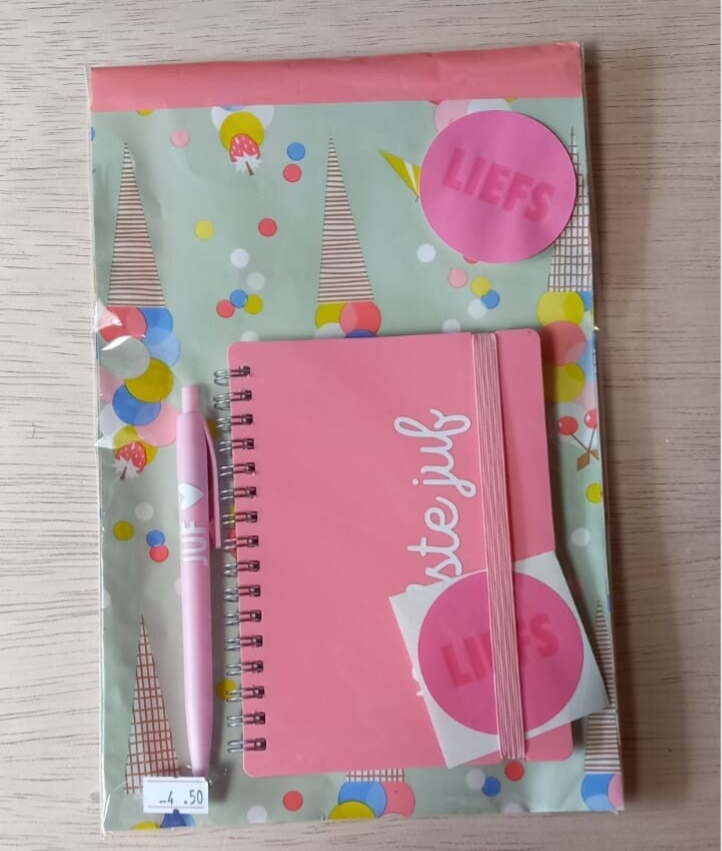 Cadeausetje voor de juf- Notitieboekje en pen