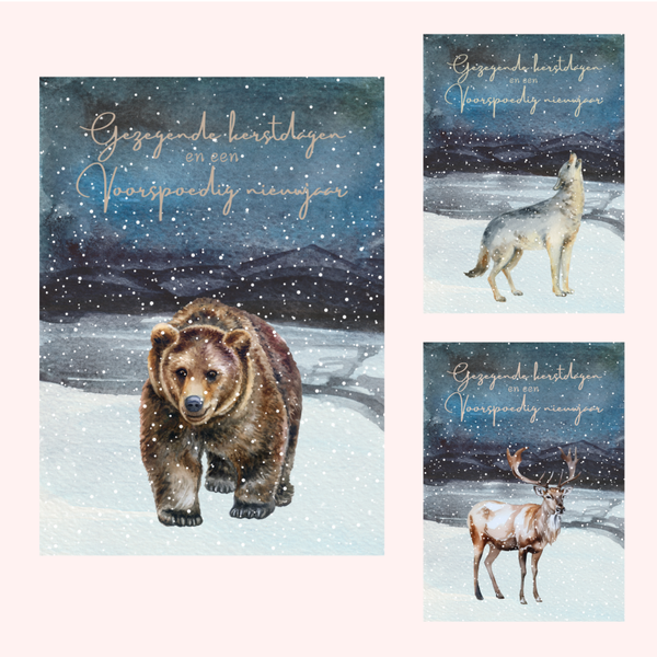 Kerstkaart met dieren op het ijs - set van 3