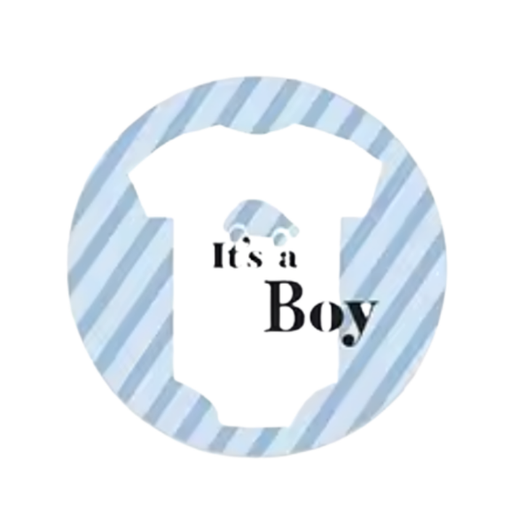 12 cadeaustickers - It's a Boy - Stickervel