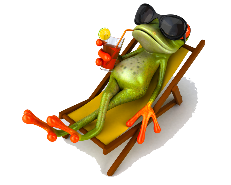 frog-chaiselongue-detouree-standard.png