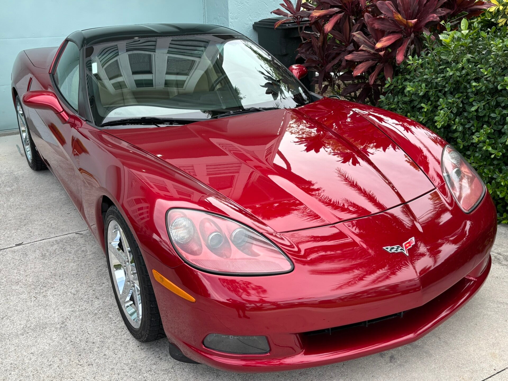 Red Corvette Paint Correctin by My Detail Guy Sarasota, FL 