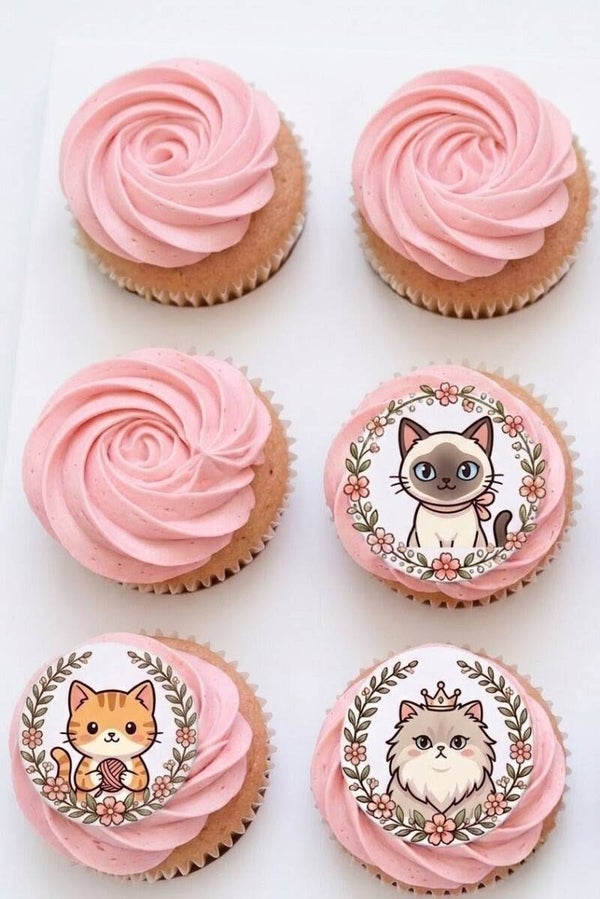 CUPCAKES | PERSO CLASSIQUE