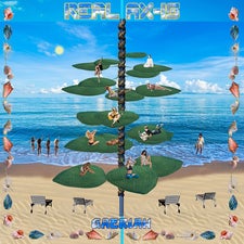 4-coverreal-ax_iscopie.jpg