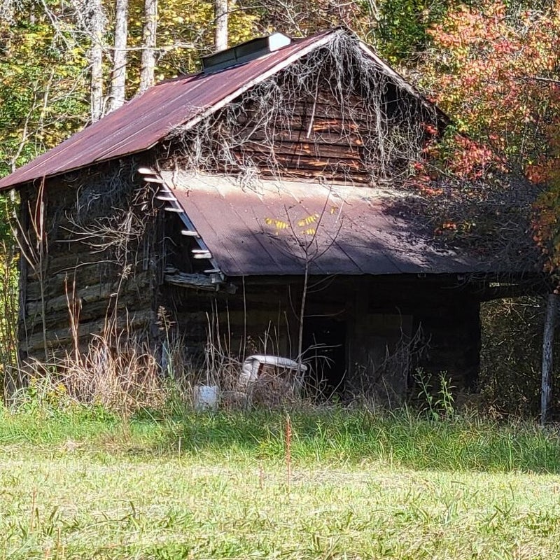 fall-old-barn1-standard-wyyqf9.jpg