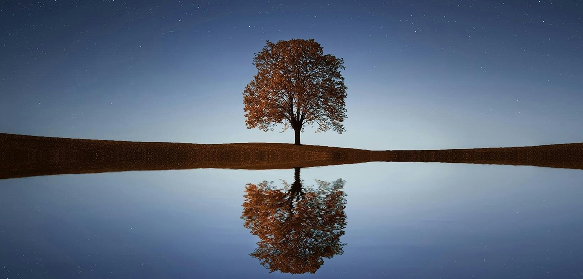 FALLING SHORT | INSPIRATION FOR EACH DAY