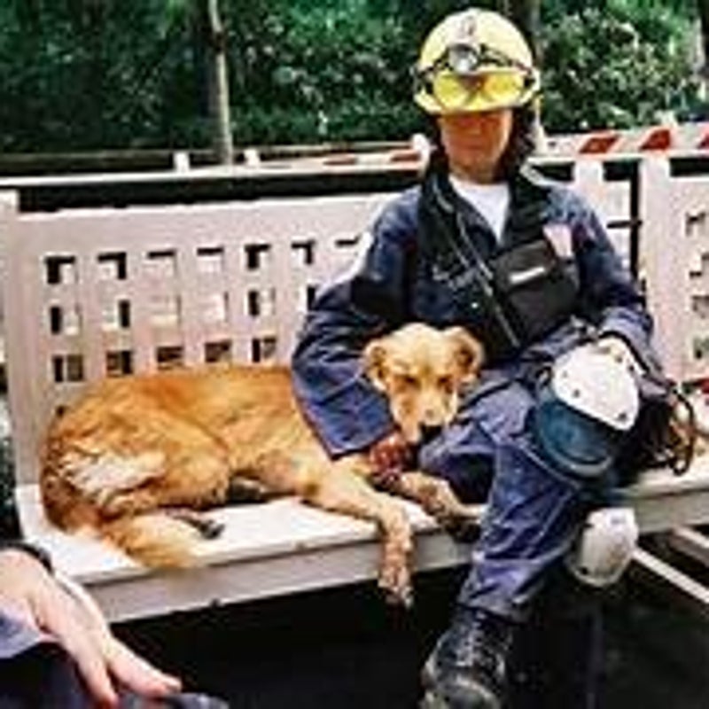 rescue4-standard.jpg