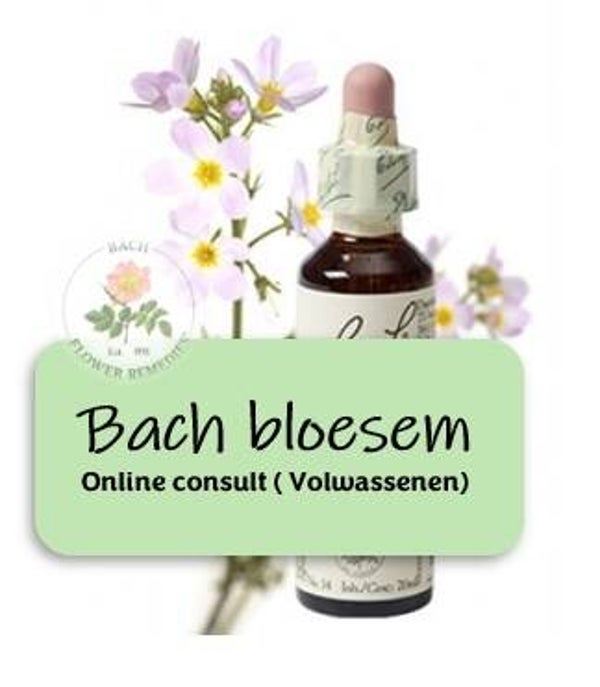 Bach bloesem therapie, volwassenen ( Online consult )