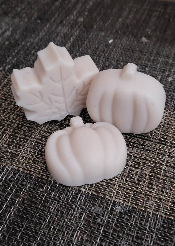 Fondants parfumés automne 🍁 20g