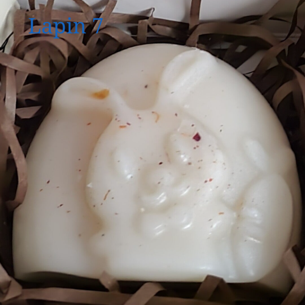 Tendres petits Lapins 🐰